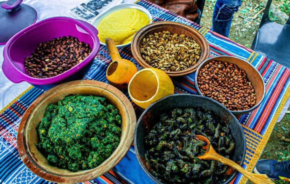 Zwiḽiwa na halwa zwa sialala ya vhavenḓa a